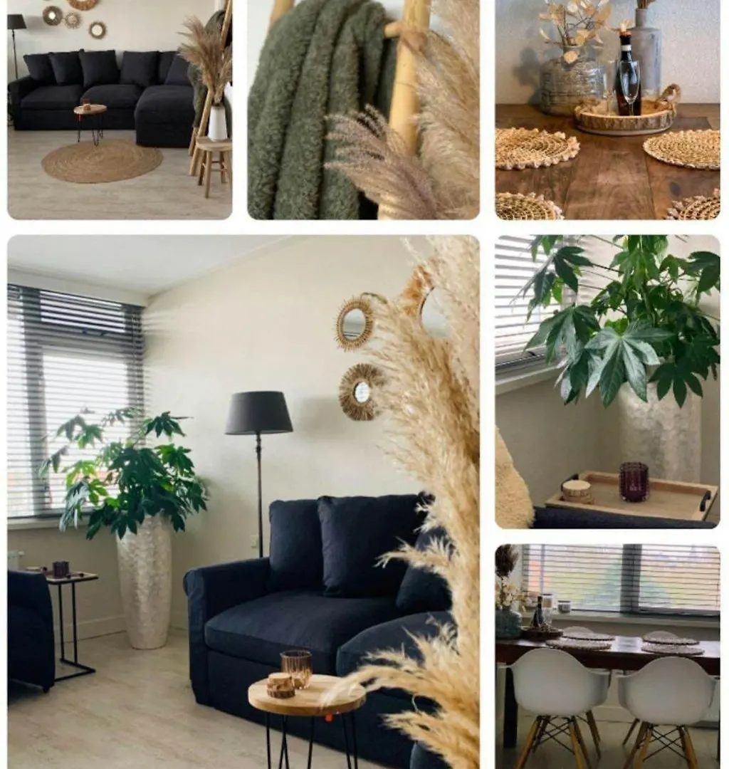 Appartement De Kokkel Free Parking Zandvoort Apartament